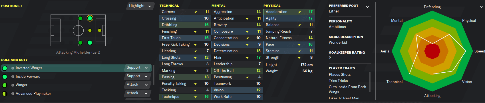 Football Manager player attributes